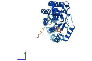 AlphaFold protein structure predicition of Human Recombinant PLCXD3 Protein, UniprotID Q63HM9