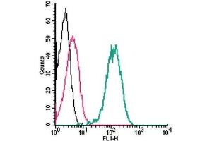 Cell surface detection of Cannabinoid Receptor 1 by indirect flow cytometry in live intact human THP-1 monocytic leukemia cells: (black line) Cells.