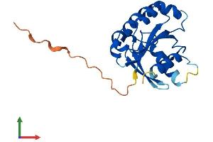AlphaFold protein structure predicition of Human Recombinant ARL16 Protein, UniprotID Q0P5N6