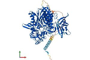 AlphaFold protein structure predicition of Mouse Recombinant Asah2 Protein, UniprotID Q9JHE3