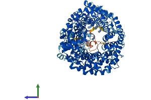 AlphaFold protein structure predicition of Human Recombinant TNPO2 Protein, UniprotID O14787
