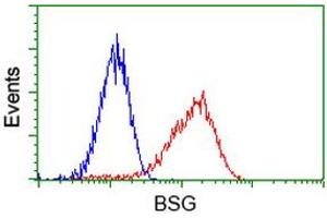 Image no. 4 for anti-Basigin (Ok Blood Group) (BSG) antibody (ABIN1498013) (CD147 anticorps)