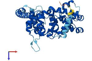 AlphaFold protein structure predicition of Human Recombinant TBC1D21 Protein, UniprotID Q8IYX1