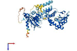 AlphaFold protein structure predicition of Mouse Recombinant Fbxo21 Protein, UniprotID Q8VDH1
