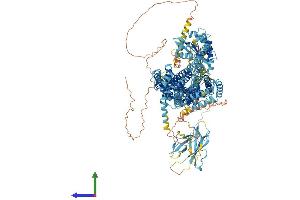 AlphaFold protein structure predicition of Mouse Recombinant Disp3 Protein, UniprotID A3KFU9