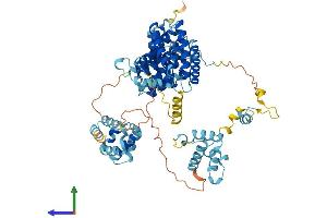 AlphaFold protein structure predicition of Human Recombinant THOC1 Protein, UniprotID Q96FV9