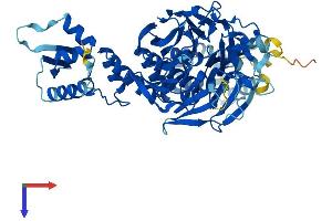 AlphaFold protein structure predicition of Mouse Recombinant Gan Protein, UniprotID Q8CA72