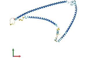 AlphaFold protein structure predicition of Human Recombinant RIBC1 Protein, UniprotID Q8N443