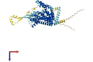 AlphaFold protein structure predicition of Human Recombinant SLC1A3 Protein, UniprotID P43003