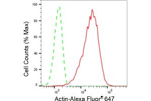 Flow cytometric analysis of Actin expression in C2C12 cells using Actin antibody (ABIN7797458), 1:2,000). (Recombinant Actin anticorps)