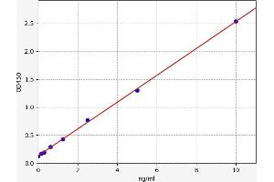 Glutamate Dehydrogenase 1 (GLUD1) ELISA Kit