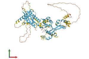 AlphaFold protein structure predicition of Human Recombinant NPRL3 Protein, UniprotID Q12980