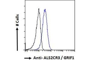 ABIN184943 Flow cytometric analysis of paraformaldehyde fixed HeLa cells (blue line), permeabilized with 0. (TRAK2 anticorps  (C-Term))