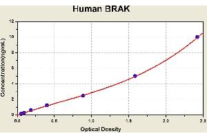 Diagramm of the ELISA kit to detect Human BRAKwith the optical density on the x-axis and the concentration on the y-axis. (CXCL14 Kit ELISA)