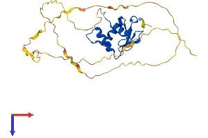 AlphaFold protein structure predicition of Human Recombinant SPIB Protein, UniprotID Q01892