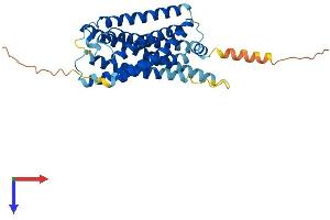 AlphaFold protein structure predicition of Human Recombinant P2RY12 Protein, UniprotID Q9H244