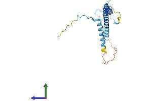 AlphaFold protein structure predicition of Mouse Recombinant Pdap1 Protein, UniprotID Q3UHX2