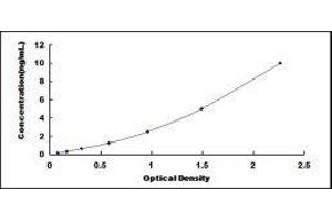 Patatin-Like phospholipase Domain Containing 6 (PNPLA6) ELISA Kit