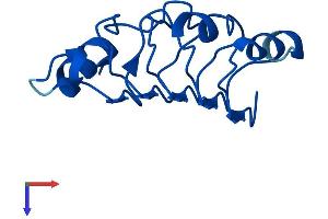 AlphaFold protein structure predicition of Mouse Recombinant Anp32c Protein, UniprotID Q64G17