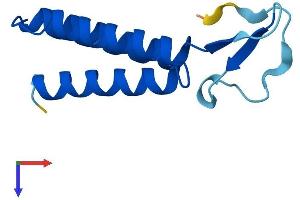 AlphaFold protein structure predicition of Human Recombinant LYRM7 Protein, UniprotID Q5U5X0