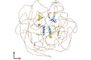 AlphaFold protein structure predicition of Human Recombinant BCL9 Protein, UniprotID O00512