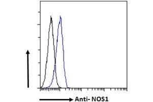 ABIN184662 Flow cytometric analysis of paraformaldehyde fixed Kelly cells (blue line), permeabilized with 0.