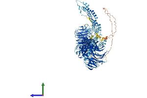 AlphaFold protein structure predicition of Human Recombinant COPA Protein, UniprotID P53621