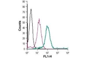 Cell surface detection of GLP1R in live intact human THP-1 monocytic leukemia cells: (black line) Cells.
