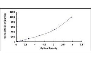 Typical standard curve (Annexin a10 Kit ELISA)