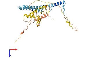 AlphaFold protein structure predicition of Human Recombinant CCDC28A Protein, UniprotID Q8IWP9