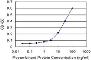 Detection limit for recombinant GST tagged MERTK is 1 ng/ml as a capture antibody. (MERTK anticorps  (AA 21-120))