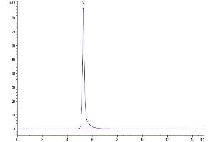 The purity of Human TNFR2 is greater than 95 % as determined by SEC-HPLC.