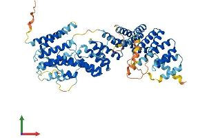 AlphaFold protein structure predicition of Mouse Recombinant Fancg Protein, UniprotID Q9EQR6