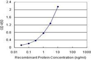Sandwich ELISA detection sensitivity ranging from 0. (RALBP1 (Humain) Matched Antibody Pair)