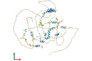 AlphaFold protein structure predicition of Human Recombinant CAST Protein, UniprotID P20810
