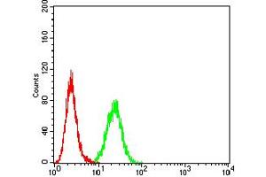 Flow cytometric analysis of Hela cells using AXIN1 mouse mAb (green) and negative control (red).
