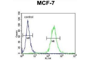 UPF2 Antibody (Center) flow cytometric analysis of MCF-7 cells (right histogram) compared to a negative control cell (left histogram). (RENT2/UPF2 anticorps  (Middle Region))