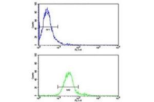 Flow cytometric analysis of NCI-H460 cells using ROR1 antibody (bottom histogram) compared to a negative control (top histogram).