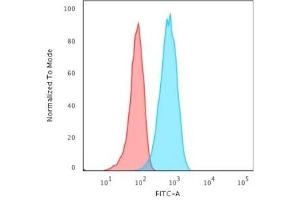 Flow Cytometric Analysis of Raji cells.