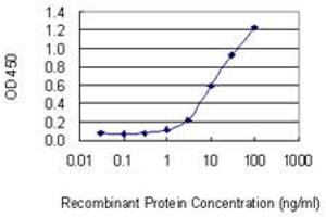 Detection limit for recombinant GST tagged UBE2DNL is 0. (UBE2DNL anticorps  (AA 1-75))