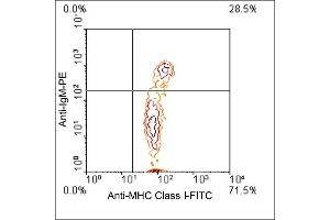 Flow Cytometry (FACS) image for anti-MHC, Class I antibody (FITC) (ABIN371395) (MHC, Class I anticorps  (FITC))