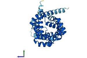 AlphaFold protein structure predicition of Human Recombinant SLC25A6 Protein, UniprotID P12236