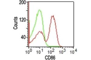 Flow Cytometry of human PBMCs using CD86 Monoclonal Antibody (BU63). (CD86 anticorps  (FITC))