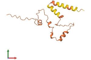AlphaFold protein structure predicition of Human Recombinant LINC00311 Protein, UniprotID Q8N616