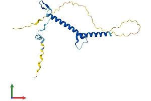 AlphaFold protein structure predicition of Mouse Recombinant Figla Protein, UniprotID O55208