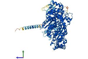 AlphaFold protein structure predicition of Mouse Recombinant Ndst3 Protein, UniprotID Q9EQH7