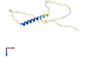 AlphaFold protein structure predicition of Human Recombinant CEND1 Protein, UniprotID Q8N111