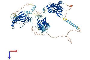 AlphaFold protein structure predicition of Human Recombinant POLR3E Protein, UniprotID Q9NVU0
