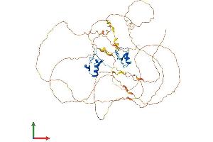 AlphaFold protein structure predicition of Human Recombinant GATA6 Protein, UniprotID Q92908