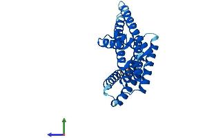 AlphaFold protein structure predicition of Human Recombinant SFN Protein, UniprotID P31947